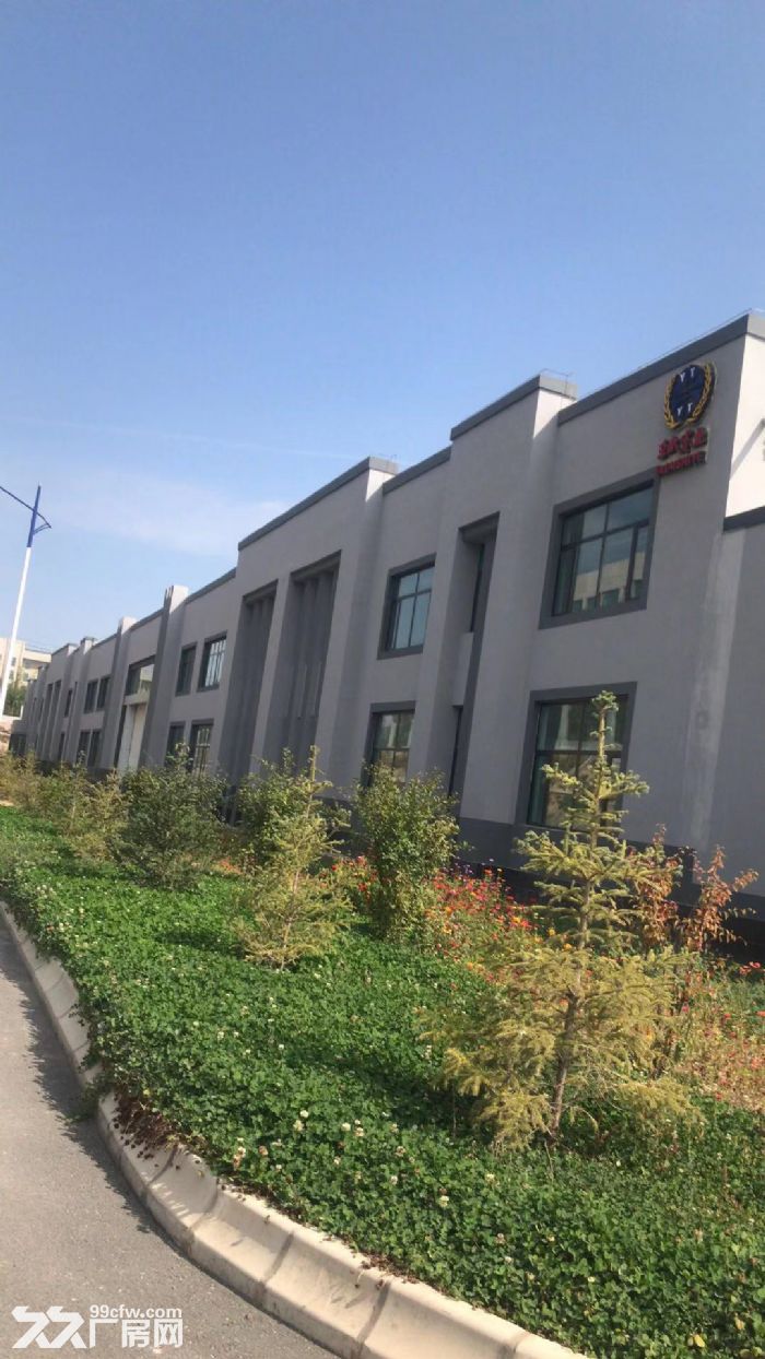 出租新区标准现代厂房仓储有宿舍和办公室-图2