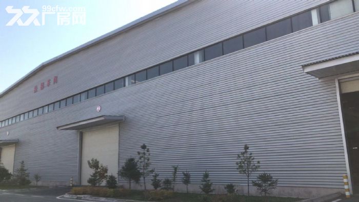 出租新区标准现代厂房仓储有宿舍和办公室-图8